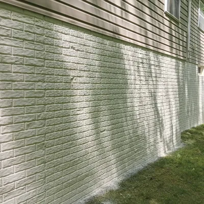 Painter Pro's