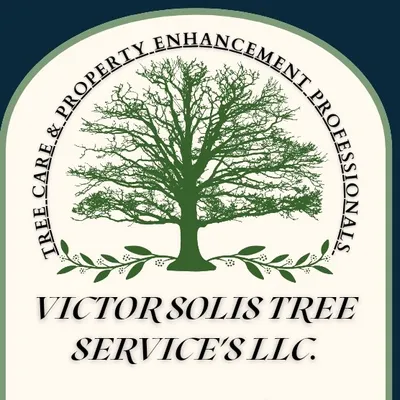 Victor Solis Tree Service's LLC