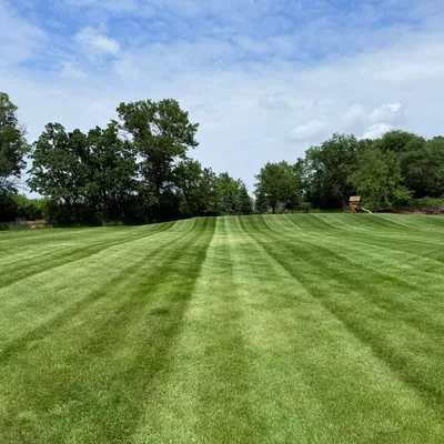 Grass maintenance Corona