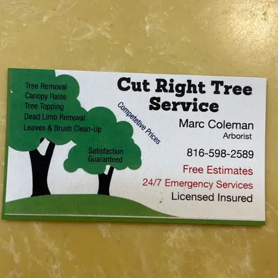 Cut right tree service