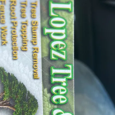 Lopez Tree Service