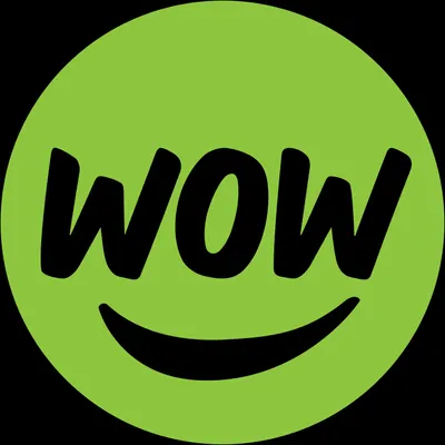 Wow 1 Day Painting