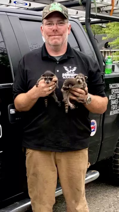 Hawk Wildlife Control