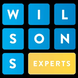 Wilson's Experts Inc