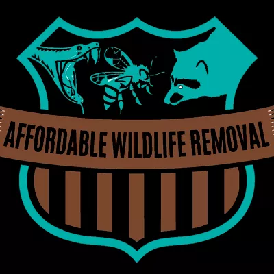 Affordable Wildlife Removal