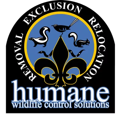Humane Wildlife Control Solutions