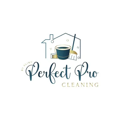 Perfect Pro Cleaning by Aliny
