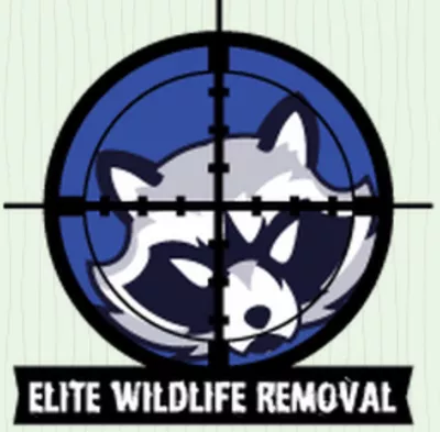 Elite Wildlife Removal
