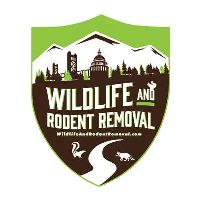 Wildlife and Rodent Removal