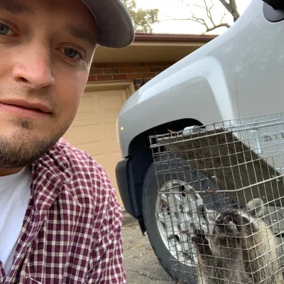 All Seasons Wildlife Removal