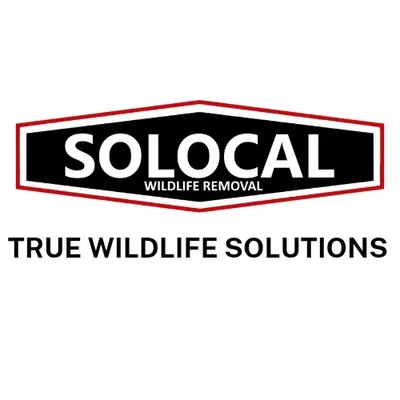 Solocal Wildlife Removal