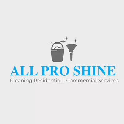 All Pro Shine