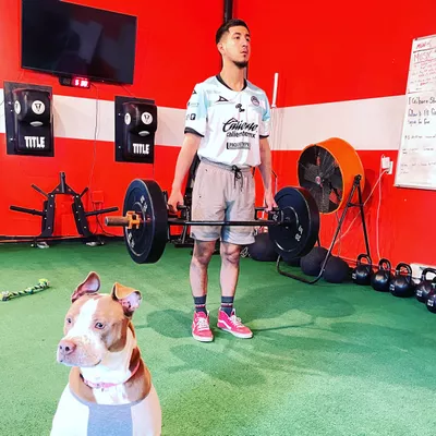 Figgz Fitness