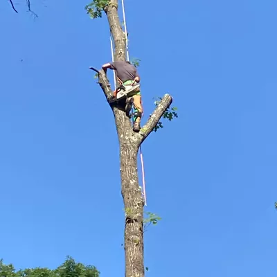 ACG Construction & Tree Removal