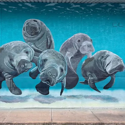 Dallas Ft Worth Murals - ArtFX Design Studios