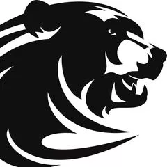 Kodiak Strength Training