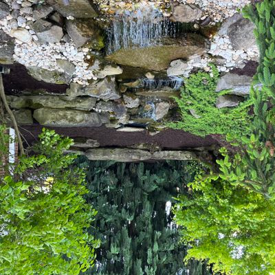 360 Landscape Services