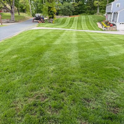 Synergy Landscaping
