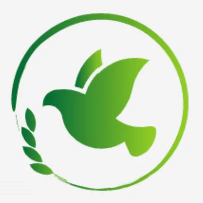 Green Dove Construction