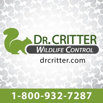 Dr. Critter Wildlife Control