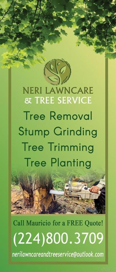 Neri Tree Service