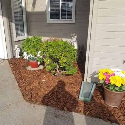 razo gardening
