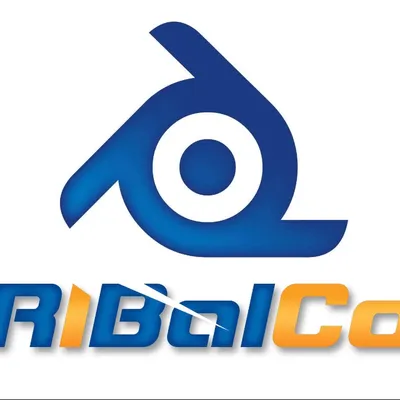 Ribaldo LLC