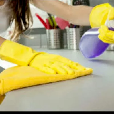 Ledyth's House Cleaning