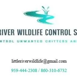 Little River Wildlife Control Services