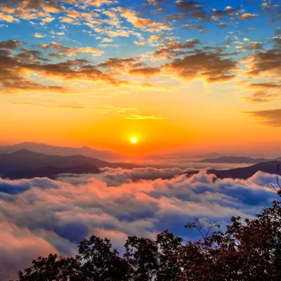 Tom Murry Counseling & Life Coaching Services