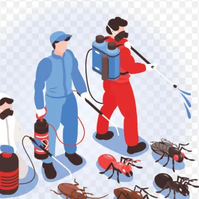 Neighborhood Pest Control