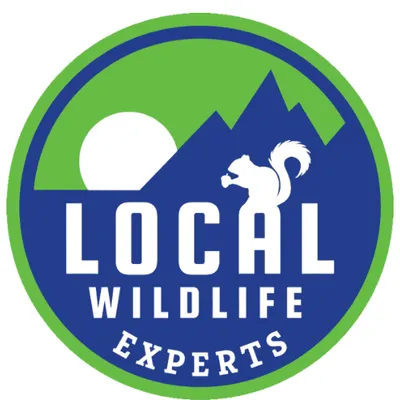 Local Pest Experts