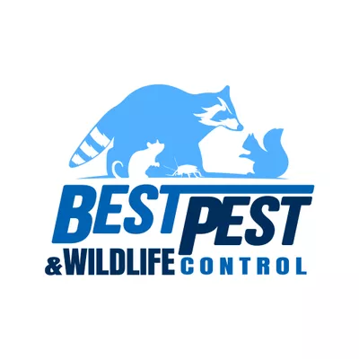 Best Pest & Wildlife Control, LLC
