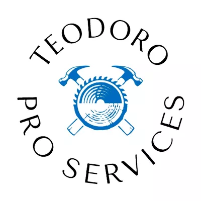 Teodoro Pro Services