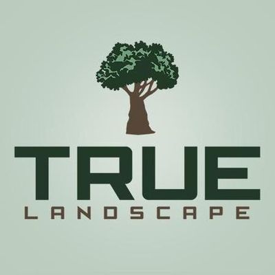 True Landscape