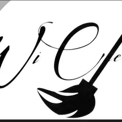 WiClean LLC