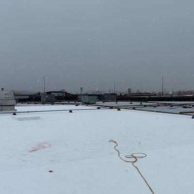 Mateo roofing