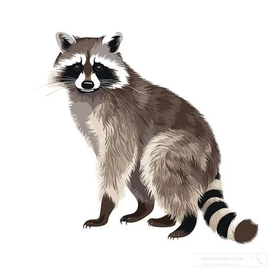 Affordable Critter Response N1809