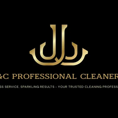 Professional Cleaners