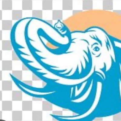 Elephant Construction LLC