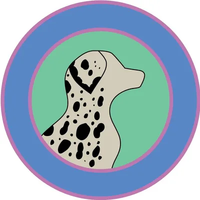 Spot Cleaning Company