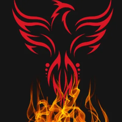 Phoenix Quality Construction