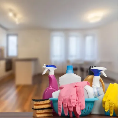 Cleaning Service