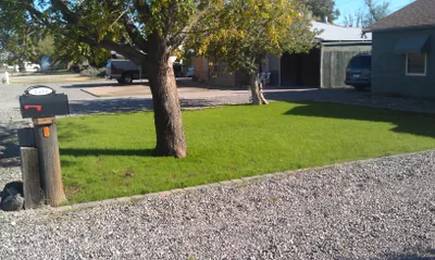 Phoenix Lawn Care