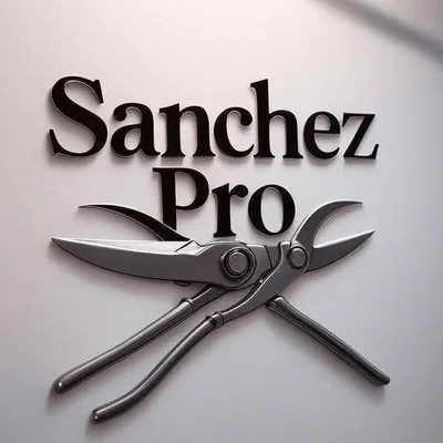 Sanchez Pro LLC
