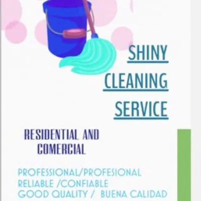 Shiny Cleaning Service