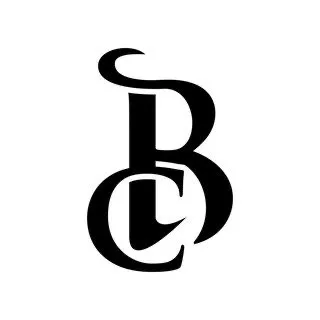 Bitencourt Services  Quality and Trust