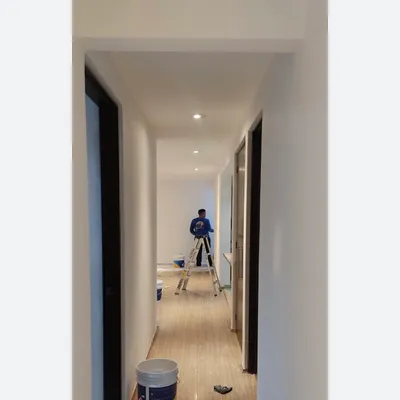 Silvestre home improvement