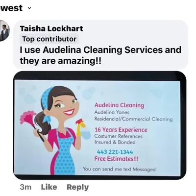 Audelina Cleaning Services