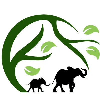 Trusted Accounting Partners